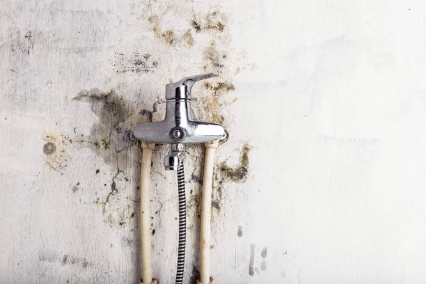 Best HVAC Mold Remediation in New Knoxville, OH